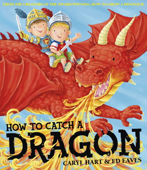 Cover art for How To Catch a Dragon