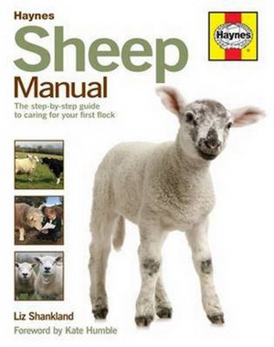 Cover art for Sheep Manual