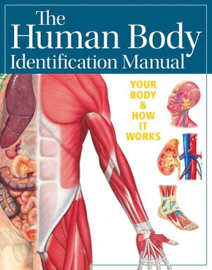 Cover art for Human Body Identification Manual (Academic Edition)