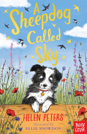 Cover art for A Sheepdog Called Sky