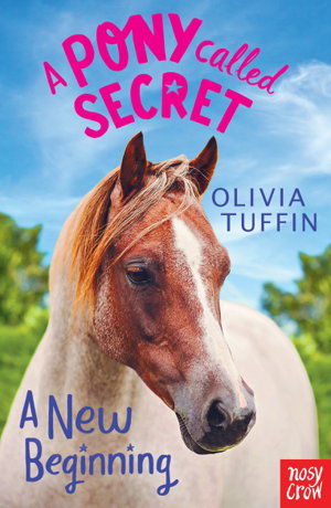 Cover art for A Pony Called Secret
