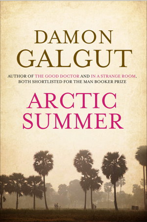 Cover art for Arctic Summer