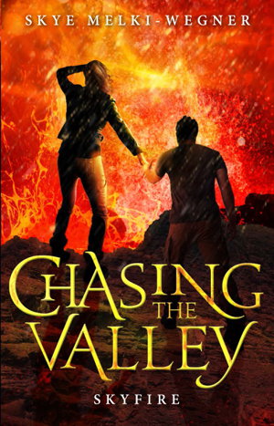 Cover art for Chasing the Valley 3