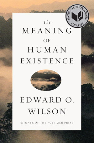 Cover art for The Meaning of Human Existence
