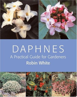 Cover art for Daphnes
