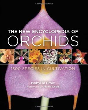 Cover art for New Encyclopedia of Orchids