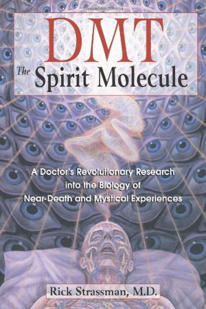 Cover art for DMT the Spirit Molecule A Doctor's Revolutionary Research into the Biology of near-Death and Mystical Experiences