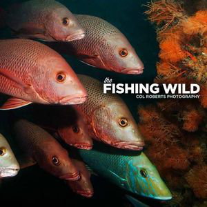 Cover art for The Fishing Wild