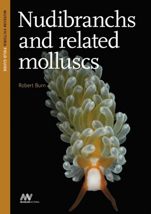 Cover art for Nudibranchs and Related Molluscs