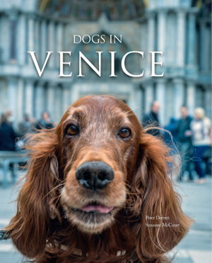 Cover art for Dogs in Venice