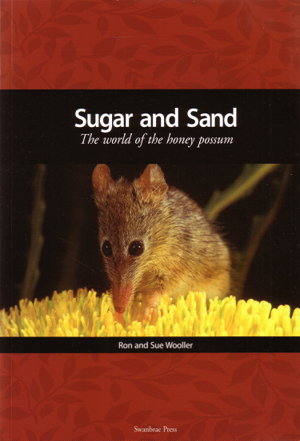 Cover art for Sugar and Sand