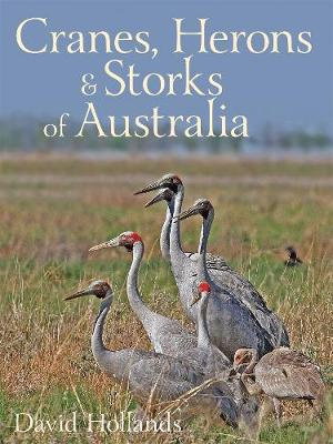 Cover art for Cranes, Herons and Storks of Australia