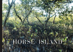 Cover art for Horse Island