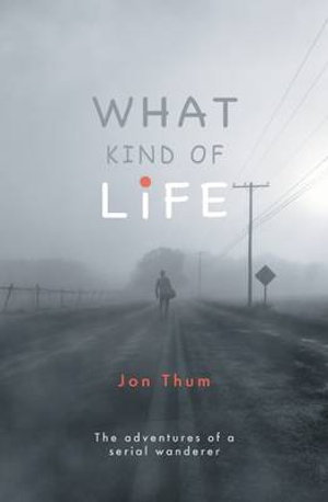 Cover art for What Kind Of Life