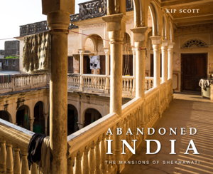 Cover art for Abandoned India