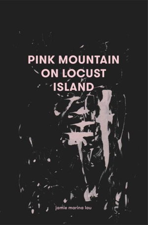 Cover art for Pink Mountain on Locust Island