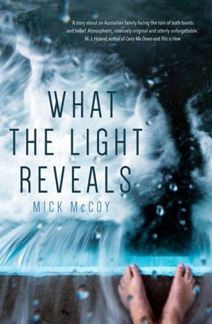 Cover art for What the Light Reveals