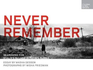 Cover art for Never Remember