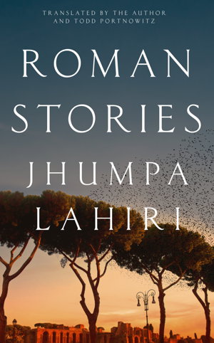 Cover art for Roman Stories