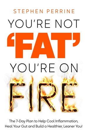 Cover art for You're Not 'Fat', You're On Fire