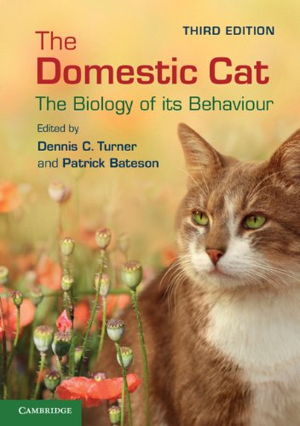 Cover art for Domestic Cat