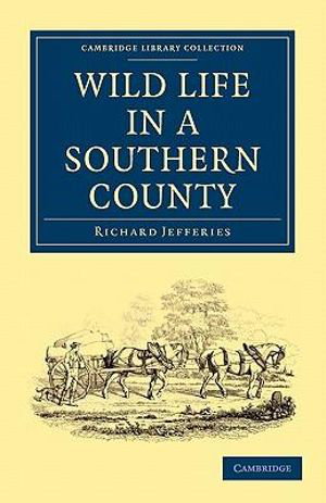 Cover art for Wild Life in a Southern County