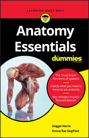 Cover art for Anatomy Essentials For Dummies