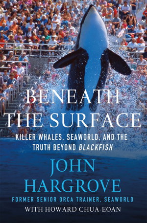Cover art for Beneath the Surface