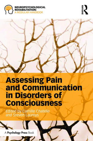 Cover art for Assessing Pain and Communication in Disorders of Consciousness