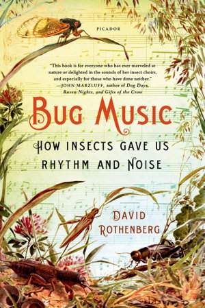 Cover art for Bug Music