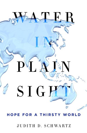 Cover art for Water in Plain Sight