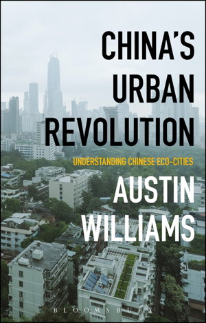 Cover art for China's Urban Revolution