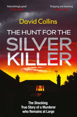 Cover art for The Hunt for the Silver Killer