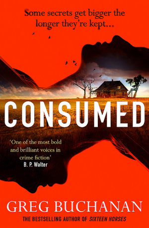 Cover art for Consumed
