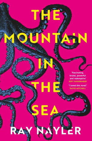 Cover art for The Mountain in the Sea