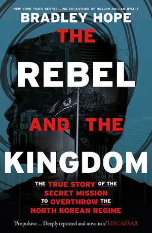 Cover art for The Rebel and the Kingdom