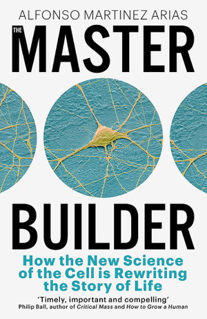 Cover art for The Master Builder