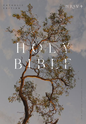 Cover art for NRSV Catholic Edition Bible, Eucalyptus Hardcover (Global Cover Series):Holy Bible