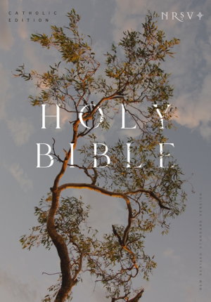 Cover art for NRSV Catholic Edition Bible, Eucalyptus Paperback (Global Cover Series):Holy Bible