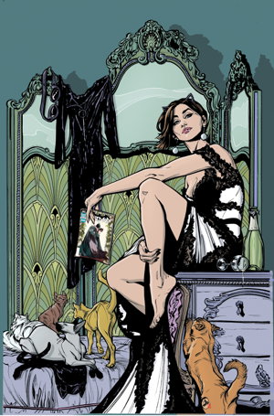 Cover art for Catwoman Vol 1 Copycats