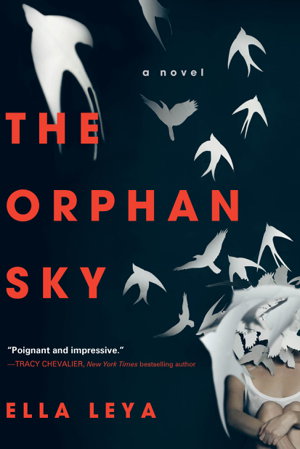 Cover art for The Orphan Sky