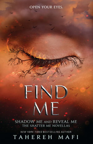 Cover art for Find Me