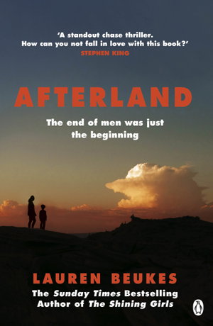 Cover art for Afterland