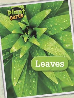 Cover art for Leaves