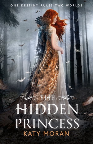 Cover art for The Hidden Princess