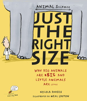 Cover art for Just the Right Size