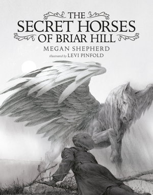 Cover art for The Secret Horses of Briar Hill