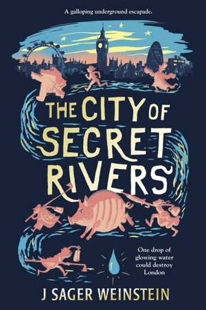 Cover art for City of Secret Rivers