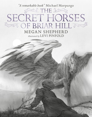 Cover art for Secret Horses of Briar Hill
