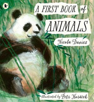 Cover art for A First Book of Animals